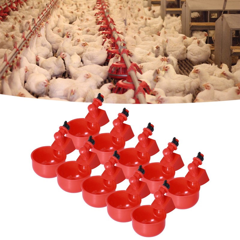 Automatic Chicken Waterer Hanging Water Cups for Quail Pigeon Duck