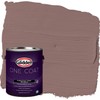 Glidden Exterior Paint + Primer: Pink/Oakwood Brown, One Coat, Flat,