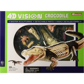 Famemaster 4d Vision Cocodrilo Modelo De Anatomía