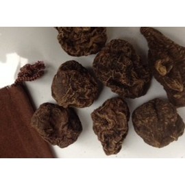 OneHigh John The Conqueror Root ~ 1 Piece with Pouch ~ Large ~ with Pouch and Info Card