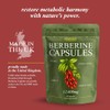 Berberine 12000mg High Strength | 97% HCL Berberine Supplement |