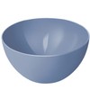 Rotho Caruba Bowl