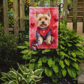 Caroline's Treasures DAC5399GF Norwich Terrier My Valentine Garden Flag Mailbox Flag Decorative Yard Flag Banner Outside Patio Artwork Yard Flower Beds, Garden Size, Multicolor