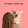 EQ K9 Anti Itch & Allergy Treats for Dogs |
