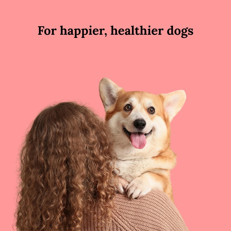 EQ K9 Anti Itch & Allergy Treats for Dogs |