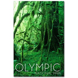 Olympic National Park, Washington Rainforest Travel Refrigerator Magnet Size 2.5" x 3.5"