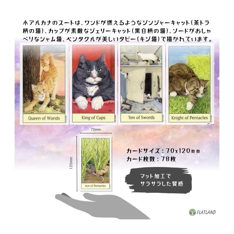 Cat's Eye Tarot Tarot Divination with Japanese Manual (English Language