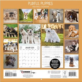 TURNER PHOTOGRAPHIC Playful Puppies 12x12 Photo Wall Calendar (25998940045)