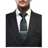 JEMYGINS Men's Stylish & Elegant Paisley Tie and Pocket Square