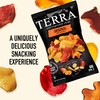 Terra Original Sea Salt Real Vegetable Chips, 5 oz (Pack