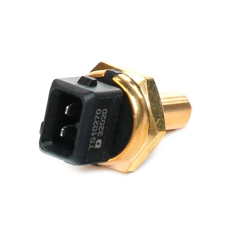 Delphi TS10270 Switch