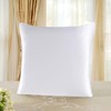 Townssilk 19 Momme 100% Silk Pillowcase 80 x 80 cm
