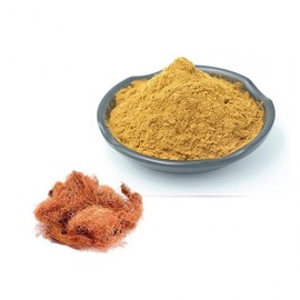 Corn Silk Extract Powder 100g Sample