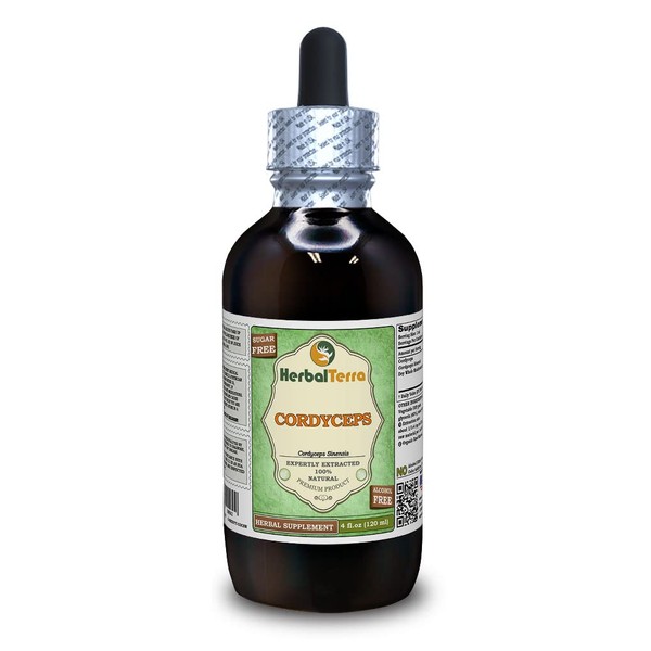 Cordyceps (Cordyceps Sinensis) Glycerite, Organic Dried Mushroom Powder Alcohol-Free Liquid Extract (Brand Name: HerbalTerra, Proudly Made in USA) 4 fl.oz (120 ml)