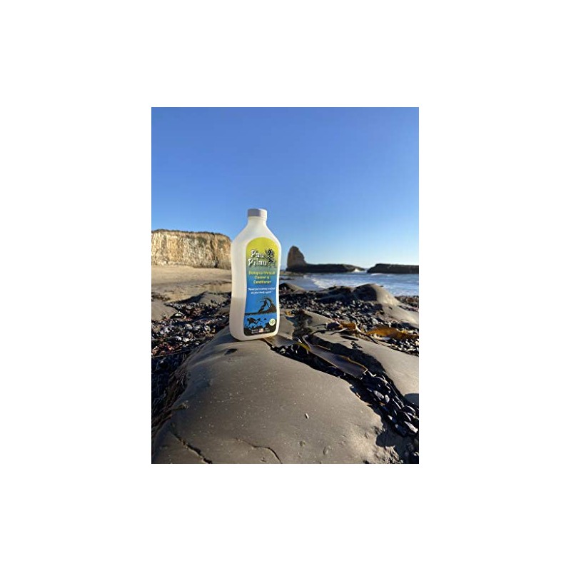 Drainbo Pau Pilau Wetsuit Cleaner and Conditioner, 16-Ounce