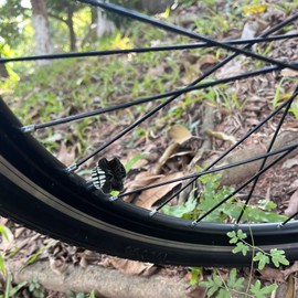 Temzzer Valve Stem Caps Skull 4pcs Car Tire Valve Caps for Most Vehicles Bikes Motorcycles, Black