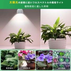 Pispoer LED Plant Growing Light, E26, Lamp Mouth, 24W, Full Spectrum, Beam Angle Adjustment Range 15° to 60°, White 5800K (White)