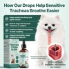 Collapsed Trachea Treatment for Dogs, Trachea Cough Elixir, Dog Cough