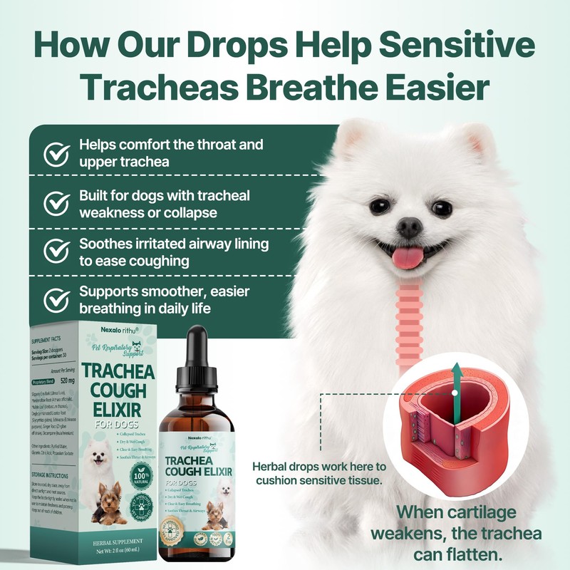 Collapsed Trachea Treatment for Dogs, Trachea Cough Elixir, Dog Cough
