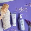 Clearé Institute Purple Matte Mask Neutralises Unwanted Tones Purple Matte
