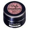 PRE GEL PG-CE890 Color Gel, Color EX Pale Strawberry, 0.1