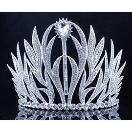 Sexy Floral Clear Austrian Crystal Rhinestone Large Tiara With Hair Combs Crown Pageant Beauty Queen Princess Birthday Party Hair Jewelry Prom Silver T11979