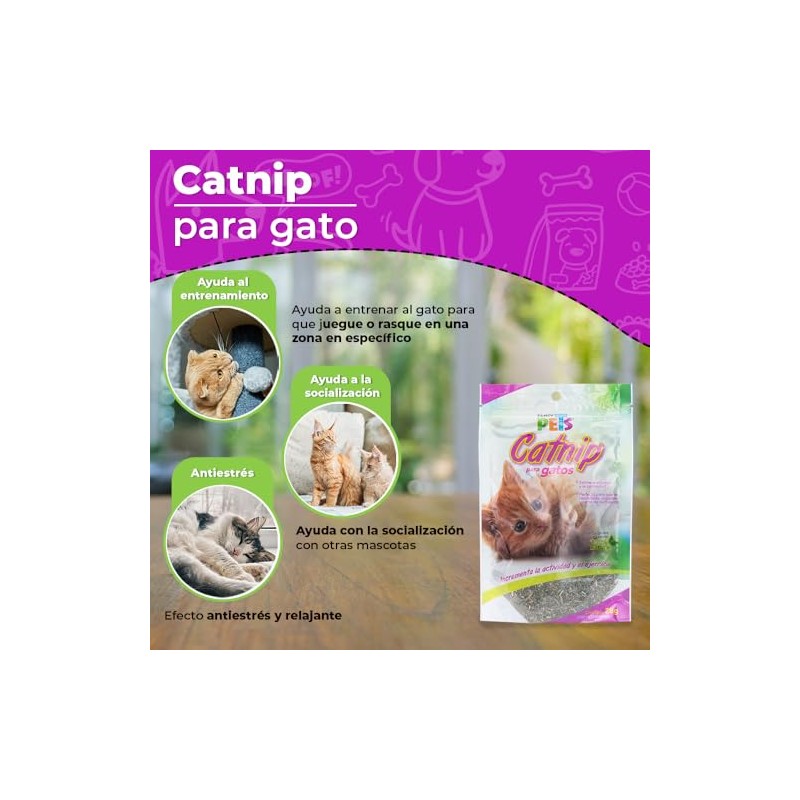 Fancy Pets Catnip para Gato o Hierba Gatera con 28