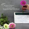 VonBueren 3 x wet floral foam | sponge for flowers