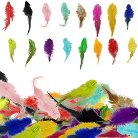 800Pcs Colorful Feathers for Crafting, Craft Feathers Bulk Colored Feathers, 16 Colors Craft Feathers Assorted Colors for Kids Handmade DIY Crafts, Wedding Party Dream Catcher Feathers Decorations