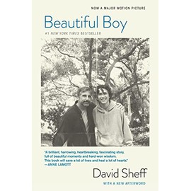 Beautiful Boy (tie-In): A Father's Journey Through His Son's Addiction