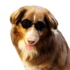 G001 Dog Cat Pet Costume Prop Round Sunglasses Medium Breeds