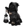 Nemesis Now Reapers Feline Cat Lantern Figurine, Black, 18.5cm
