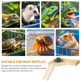 Hermit Crab L-Shaped Climbing Platform with Ladder - Hermit Crab Habitat Accessories, Reptile and Hamster Activity Platform (Wooden)