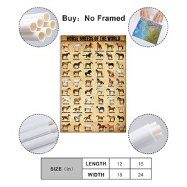 HAOSHIFA Horse Poster Horse Painting Horse Knowledge Horse Breeds of The World Poster Unframed 12x18inches