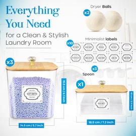 4 Pieces Laundry Detergent Dispenser , Laundry Pods Container , 2 Wool Dryer Balls Included , PET Laundry Room Organization , Laundry Soap Dispenser , Laundry Detergent Container , Detergent Dispenser