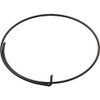 Campagnolo Unisex Wrap Around Freehub Pawl Springs, Silver, 5 Pieces