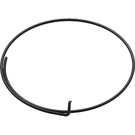 Campagnolo Unisex Wrap Around Freehub Pawl Springs, Silver, 5 Pieces UK