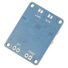 BGTXINGI TPA3118 Single Channel Digital Audio Power Amplifier Board Module 1 x 60 W DC 12 V-24 V Converter for Audio System DIY Speakers Pack of 2