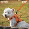 OneTigris Dog Harness for Small Dogs with Lead (150 cm),