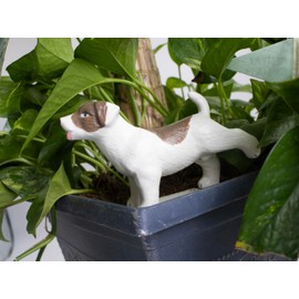 NPW Pee My Plants Dog Watering Spike, Dog Peeing Self Watering Spike, Ceramic Novelty Gift for Housewarming, Plant Decor for Indoor or Outdoor Garden Sculpture, Watering Decoration