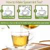 Premium Spearmint 60 Tea Bags, Spearmint Made from 100% Natural