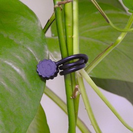 Rich&Ray Silicone Magnetic Twist Ties, Reusable Magnetic Ties for Bundling and Organizing Cable, Hanging or Holding Stuff, Kitchen Magnets, Office Magnets or Just for Fun (Black, 9 pack)