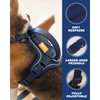 DF Freedom No Pull Martingale Dog Harness, Safety Control to