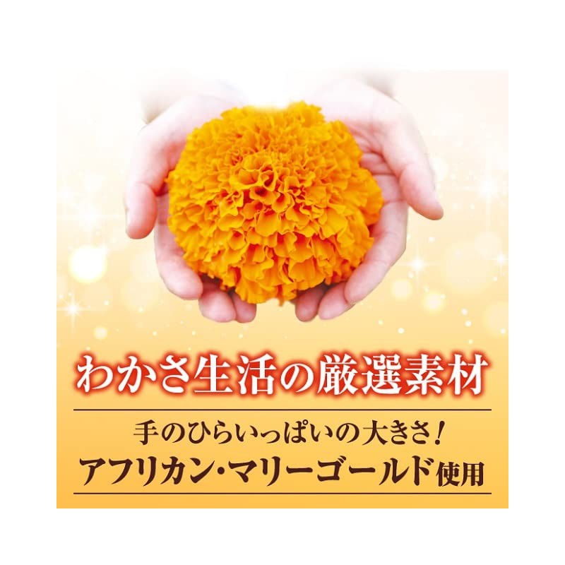 【公式】わかさ生活 ルテイン α 31粒入り（1か月分） 1日1粒 ナノルテイン 吸収量約1.5倍 ゼアキサンチン 亜鉛 トコトリエノール