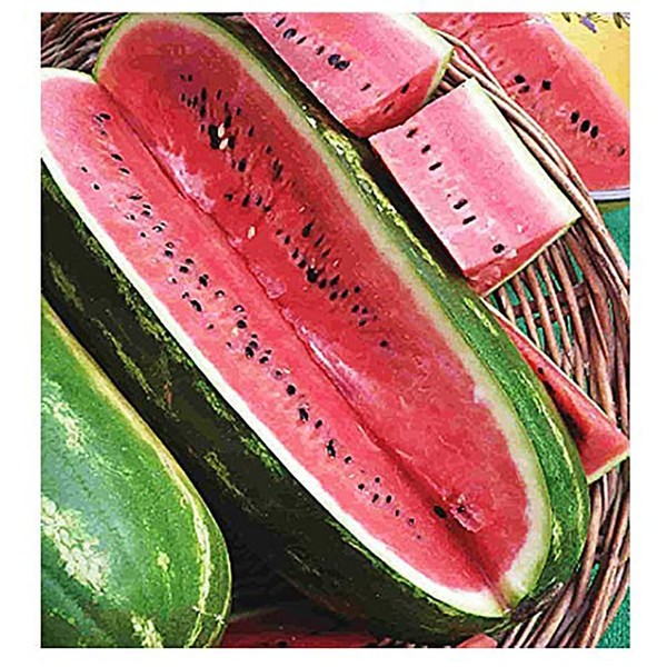 Jubilee Heirloom Watermelon Seeds