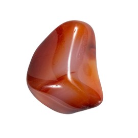 The Chrysalis Stone | Carnelian | Tumbled Stone | Size 0.75" - 1.25" | 1 Pc | Crystals and Healing Stones, Spiritual Gifts for Women, Reiki, Chakra, Witchcraft, Yoga, Meditation Accessories
