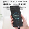 USB Type C short wire (USB 3.1 standard 5.4 inch