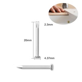 Pack of 200 Steel Nails, Nails for Concrete Walls, Galvanised, Nail Woodworking Brick, Universal Use Indoor and Outdoor Use (20 mm)