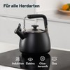 SILBERTHAL Induction Kettle 2.8 L - Stainless Steel Tea Kettle