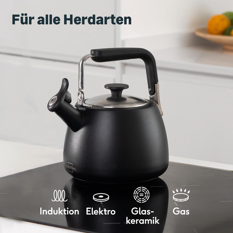 SILBERTHAL Induction Kettle 2.8 L - Stainless Steel Tea Kettle